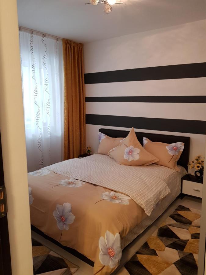 Apartament Sofy2 Băile Herculane Exterior photo