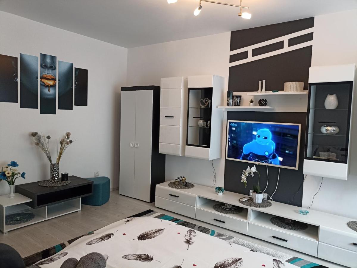 Apartament Sofy2 Băile Herculane Exterior photo