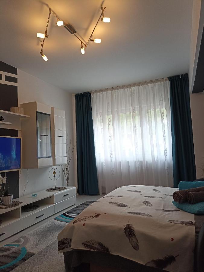 Apartament Sofy2 Băile Herculane Exterior photo